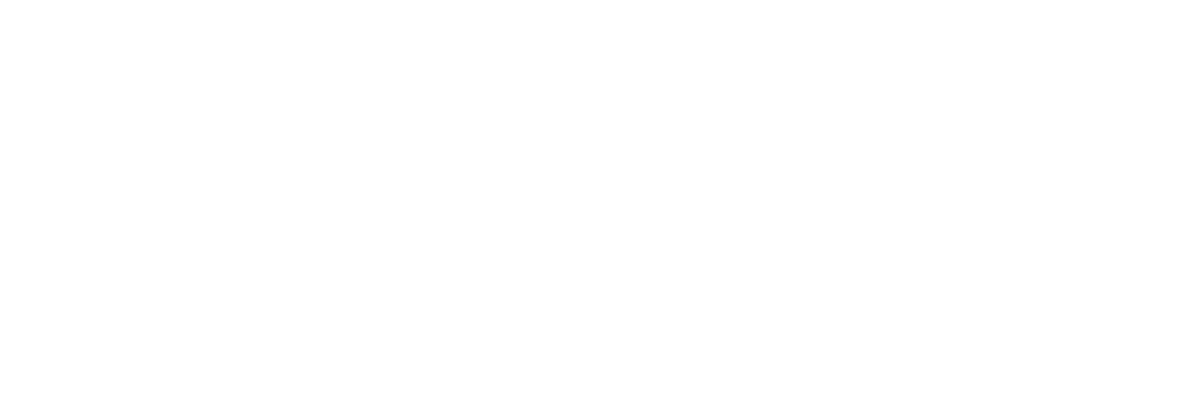 nadacia slovenskej sporitelne